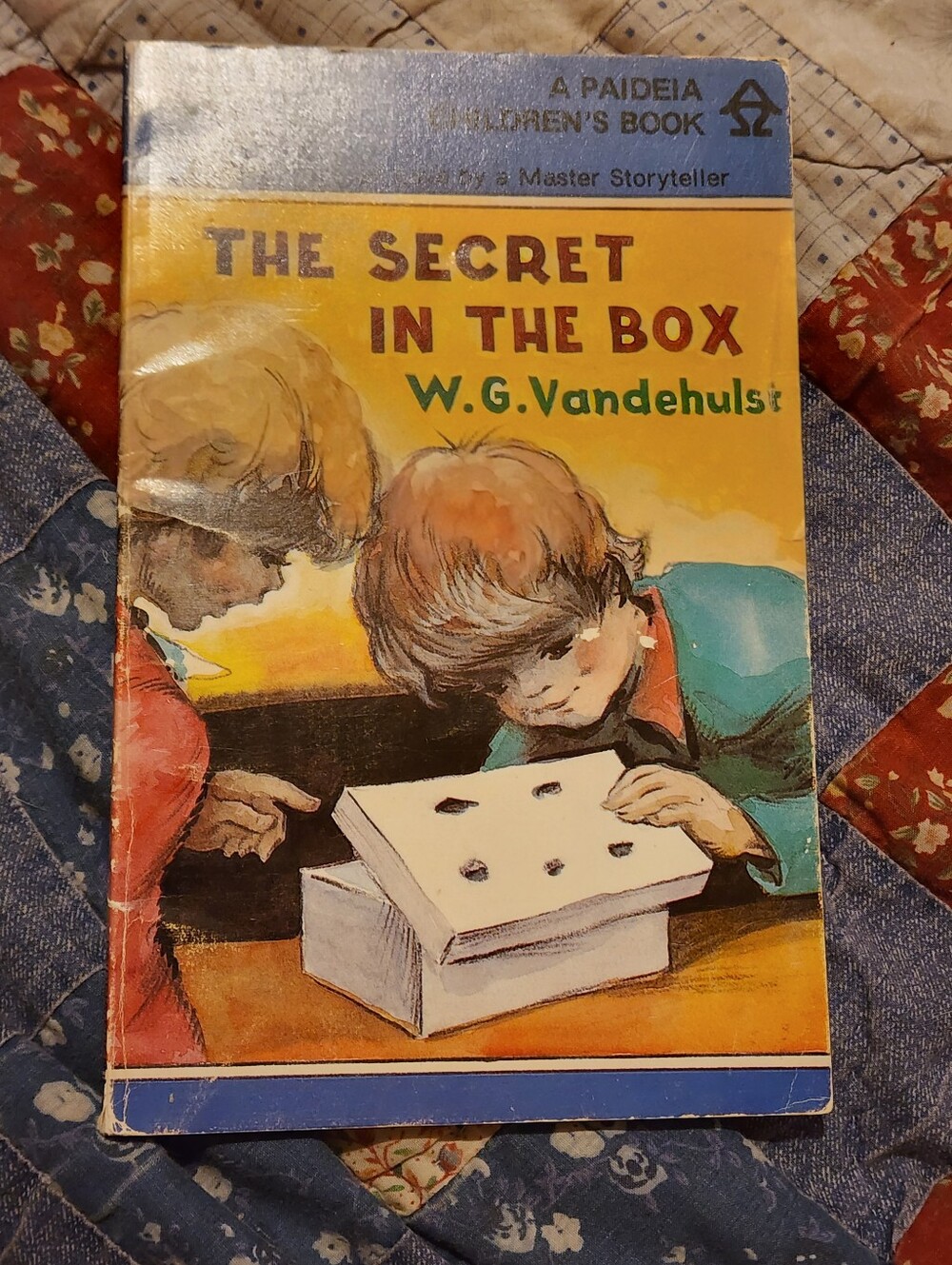 The Secret In The Box By W.G. Vandehulst Paperback